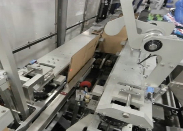 Full Automated Carton Box Packaging Machine , Fruits And Vegetables Encasing Machine
